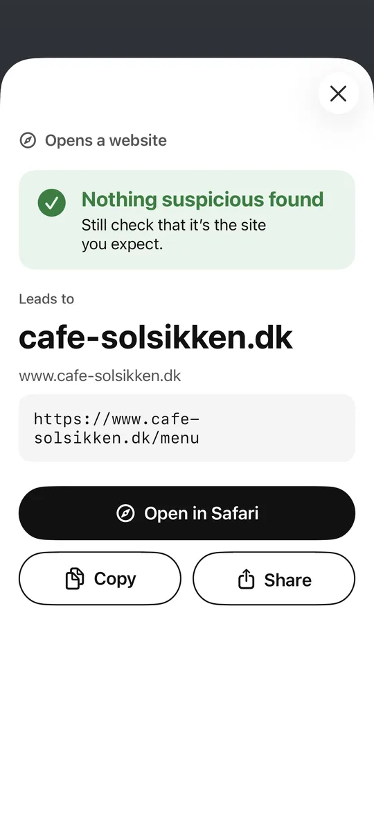 An ordinary link: the domain first, then the whole address.